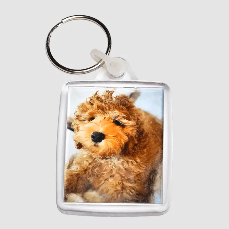 Avaimenperä koirasi kuvalla.