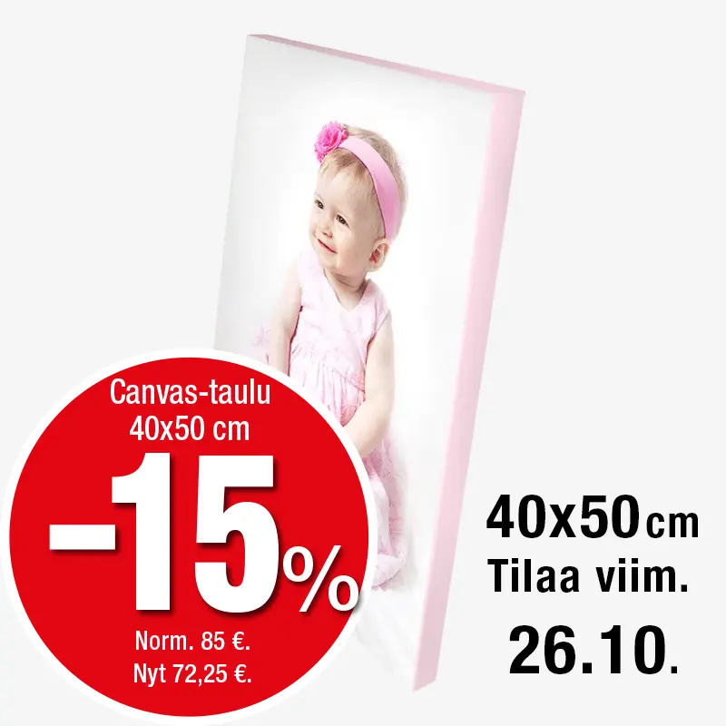 40x50 cm canvastaulu -15%