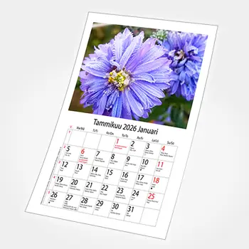 Kuvakalenteri Tunnin Kuva.