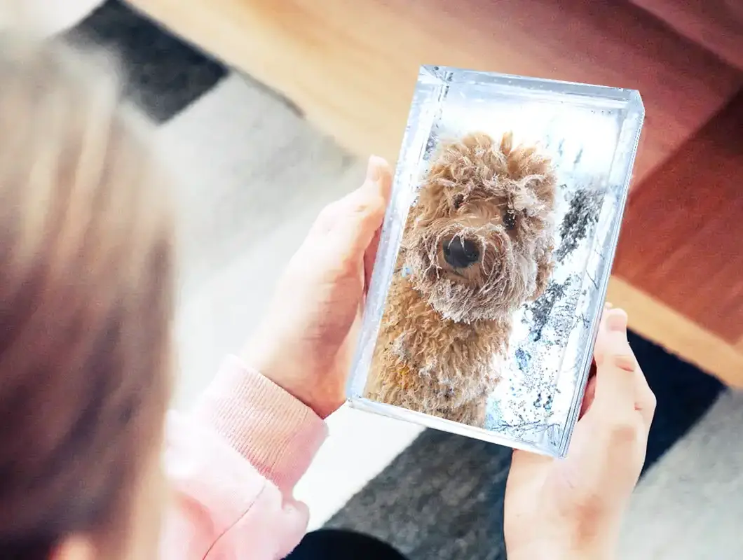 Lumisadekehys kuten lumisadepallo omalla kuvalla.