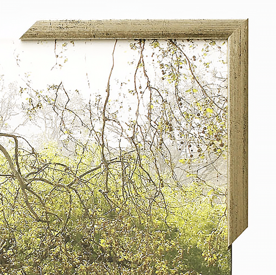 Puukehys 114 hopea Tunnin Kuvalta.