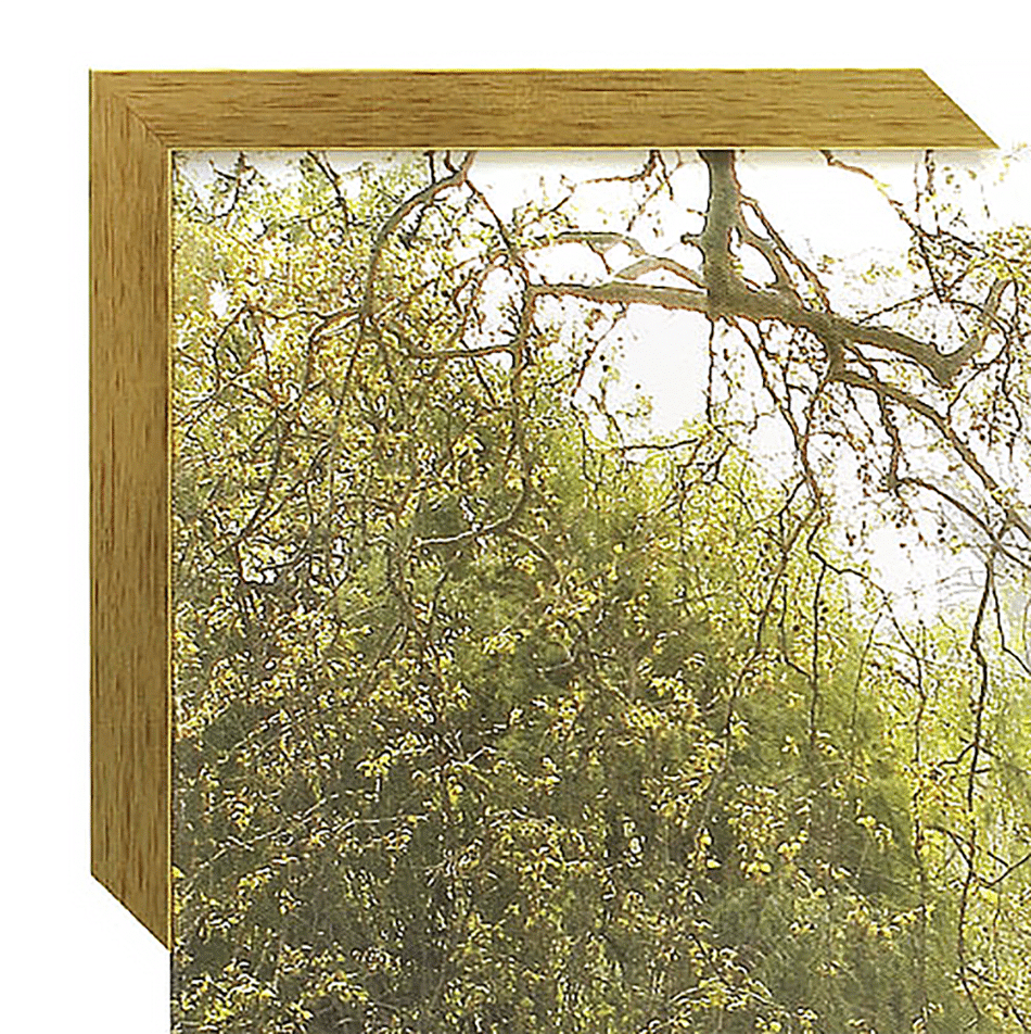 Puukehys 307 kulta Tunnin Kuvalta.