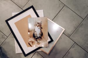 Taulut, julisteet ja isot valokuvat Tunnin Kuvalta helposti.